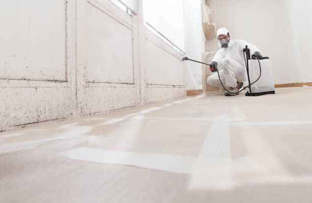 24/7 Emergency Commercial Mold Remediation experts in Marion, NC