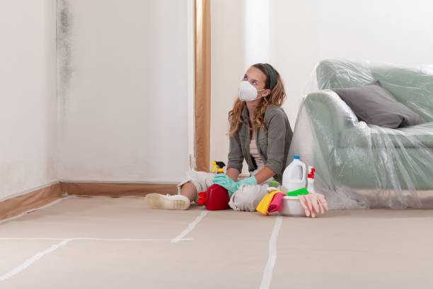 Reliable Commercial Mold Remediation contractor in Marion, NC by WQB Mold Removal