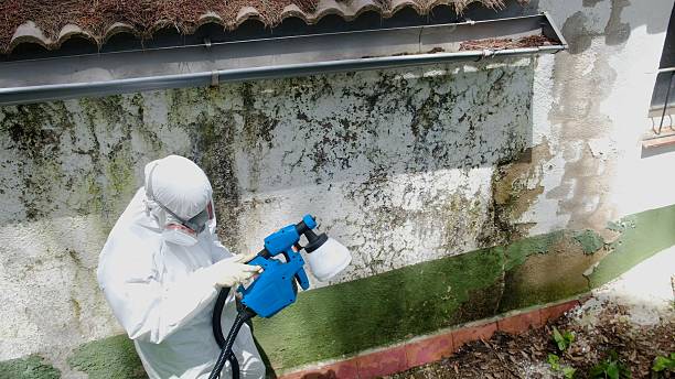 Top rated local Commercial Mold Remediation specialists in Marion, NC